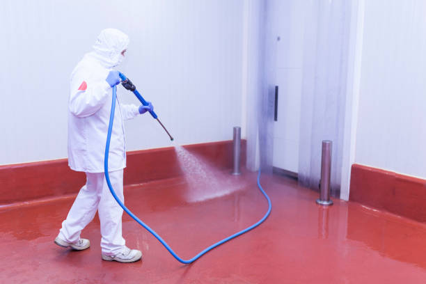 Best Sidewalk and Walkway Cleaning  in Pennside, PA